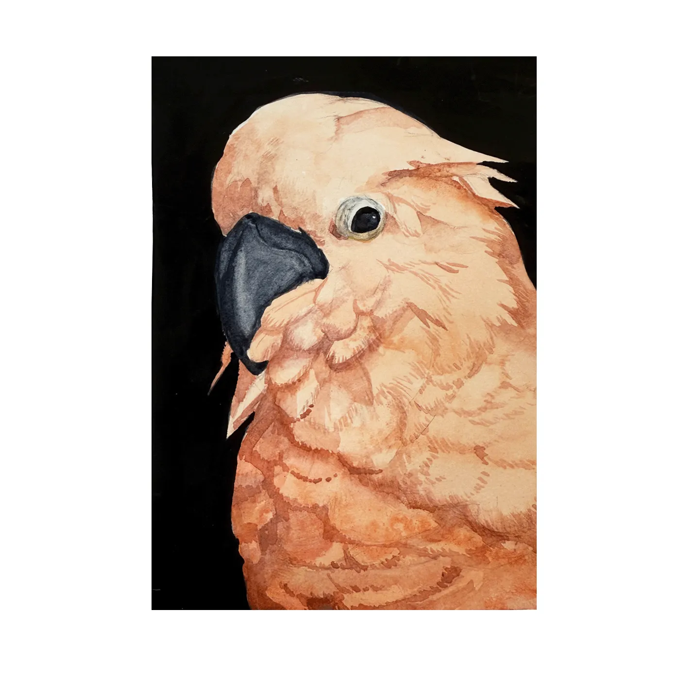 Bird painting using black gouache